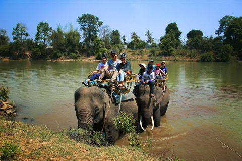 Balade au dos d'éléphant pour un tour de découverte du village de Dôn (commune de Krông Na, district de Buôn Dôn, province de Dak Lak). Photo: VNA