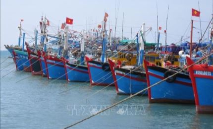 Pêche INN: le Vietnam poursuit l’objectif de développer durablement la pêche