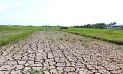 Aide américaine dans la résilience à la sécheresse et à l’intrusion saline à An Giang