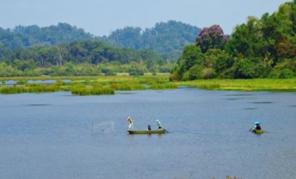 Le Vietnam s’efforce de préserver ses réserves de biosphère