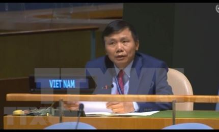 Le Vietnam soutient l'élargissement de la composition du Conseil de sécurité de l’ONU