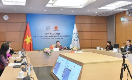 Des parlementaires vietnamiens à une session en ligne extraordinaire du Conseil directeur de l’UIP