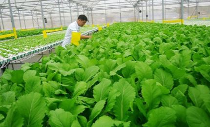 Le Vietnam vise une production agricole biologique comme les pays avancés