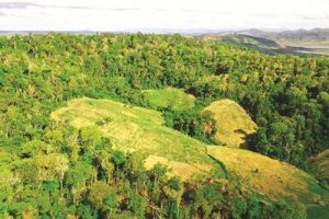 Protection des ressources forestières