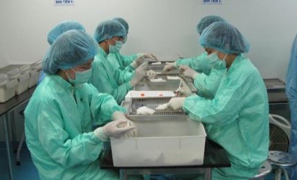 VABIOTECH teste un vaccin contre le COVID-19 sur des singes