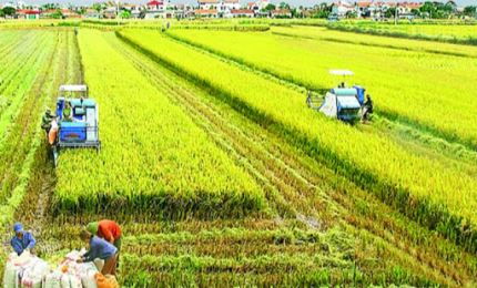 La science et la technologie contribuent à améliorer la valeur des produits agricoles nationaux