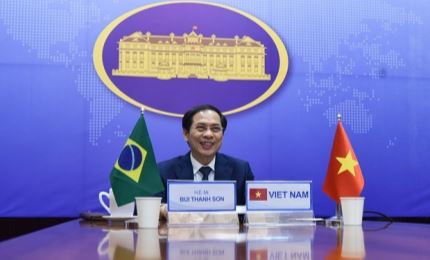 Approfondir le partenariat intégral entre le Vietnam et le Brésil