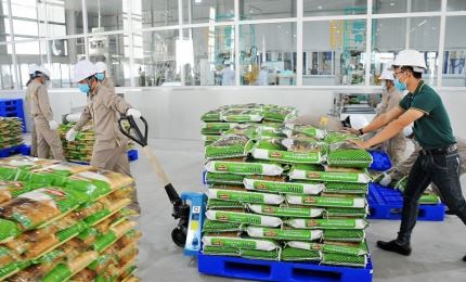 Plus de 5,3 millions de tonnes de riz exportées en 10 mois