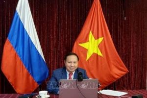 Webinaire en Russie sur le rôle du Vietnam avant le XIIIe Congrès du PCV