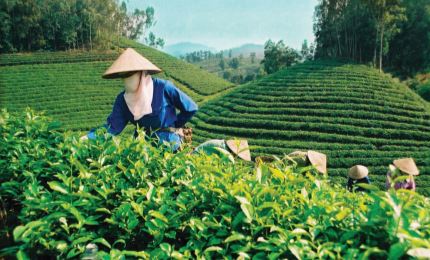 Lao Cai: la réduction de la pauvreté dépasse les objectifs fixés