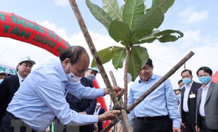 Le Premier ministre à la cérémonie de lancement de la Fête de plantation d'arbres à Phu Yên