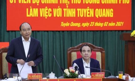 Tuyen Quang nécessite le développement de l’industrie du bois