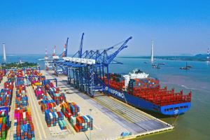 Le transport de marchandises via les ports maritimes en janvier en hausse de 17%
