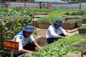 Des potagers verts à Truong Sa malgré les difficultés