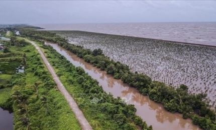 Delta du Mékong : développement durable pour s'adapter au changement climatique