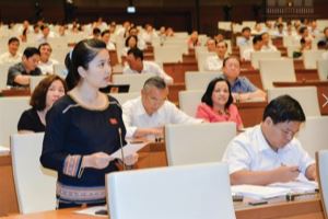 Le Vietnam vise à porter à 18% le taux de députés issus de minorités ethniques
