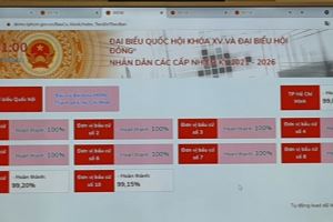 Hô Chi Minh-Ville applique à titre d’essai le logiciel pour soutenir les élections législatives