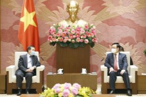 Le président de l’Assemblée nationale reçoit l’ambassadeur du Laos