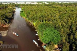 Journée mondiale de l'environnement: Conservation des écosystèmes dans le delta du Mékong